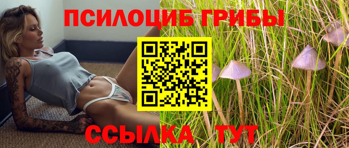 Галлюциногенные грибы MAGIC MUSHROOMS  Вход с VPN  закладки  Удомля 