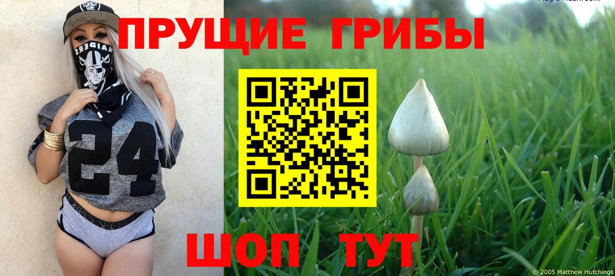 Псилоцибиновые грибы мухоморы Удомля